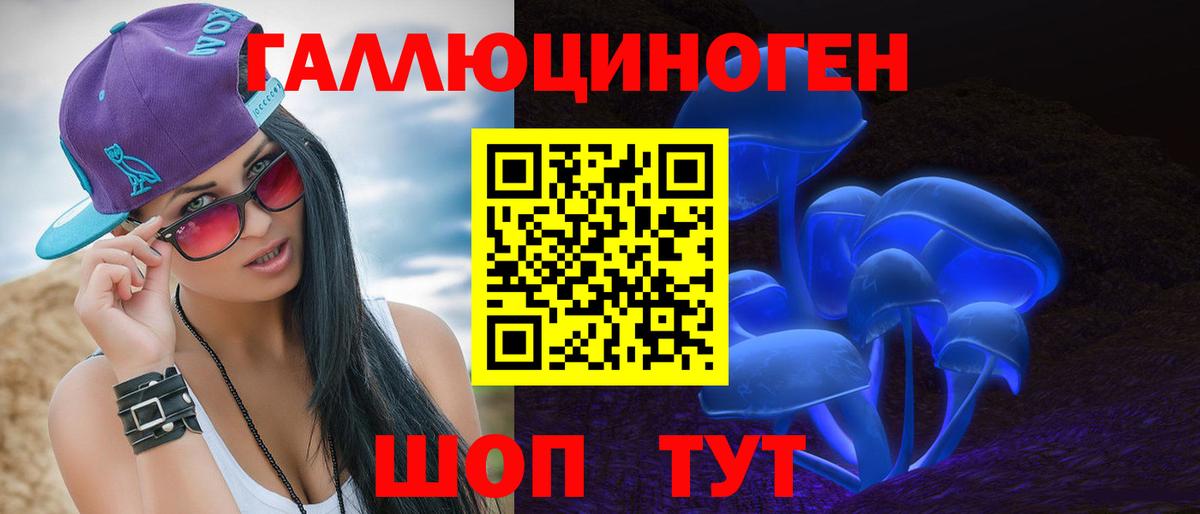 Псилоцибиновые грибы Psilocybine cubensis Батайск